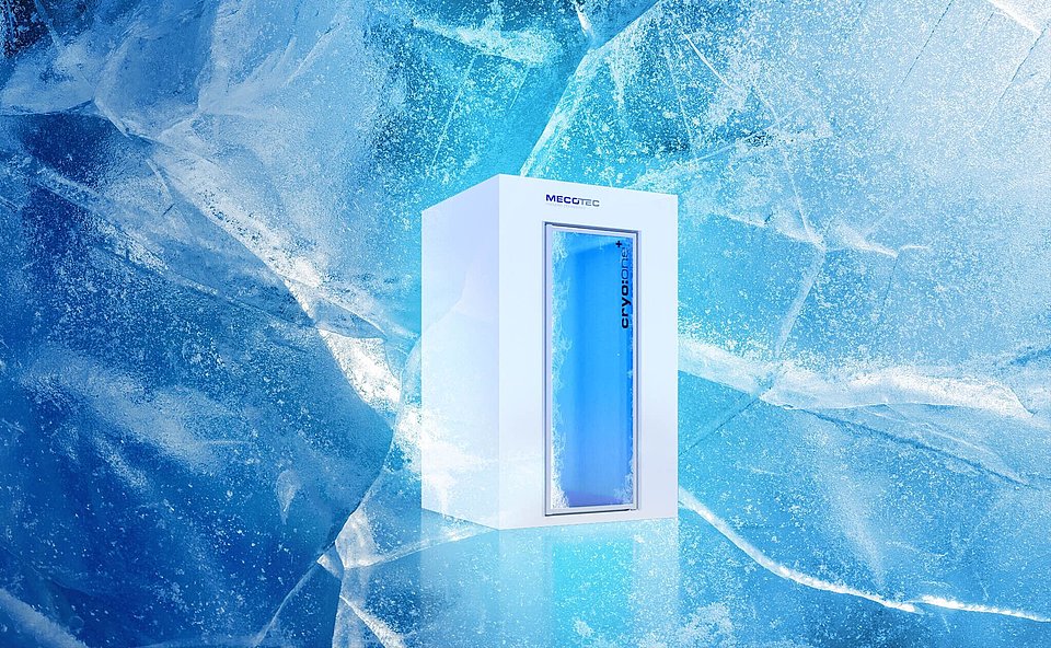 [Translate to French:] 